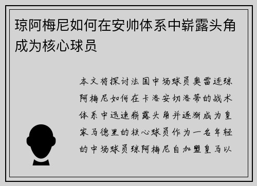 琼阿梅尼如何在安帅体系中崭露头角成为核心球员