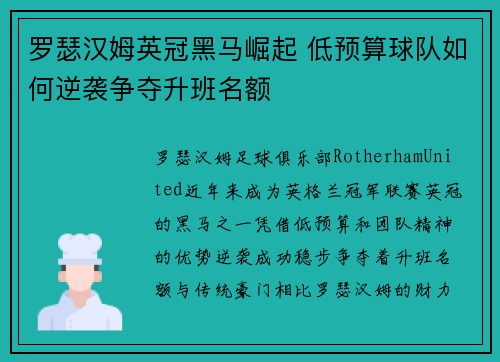罗瑟汉姆英冠黑马崛起 低预算球队如何逆袭争夺升班名额 罗瑟汉姆英冠黑马崛起 低预算球队如何逆袭争夺升班名额
